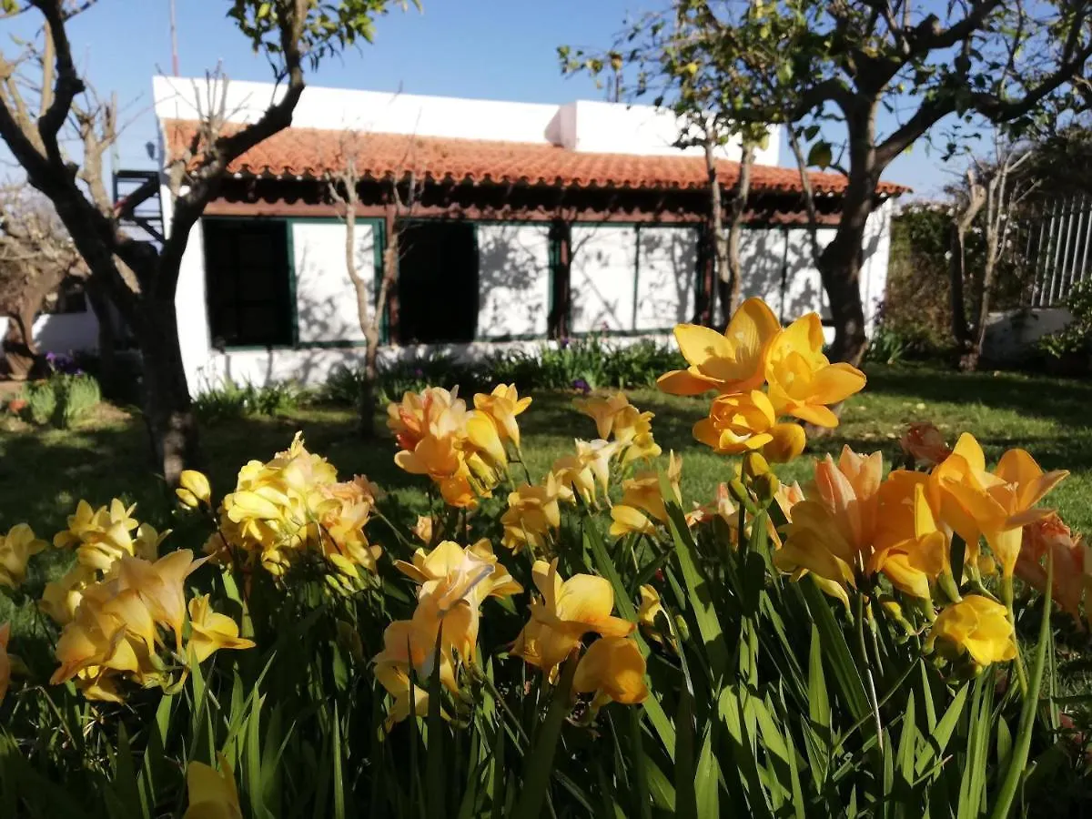 Casa Rural Limon Y Sol Sauzal Spain