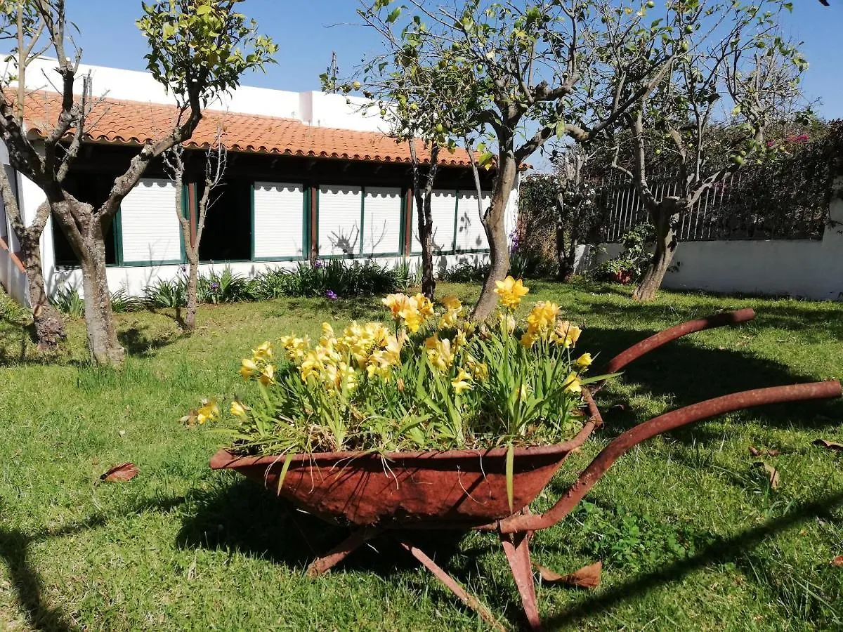 Casa Rural Limon Y Sol Sauzal