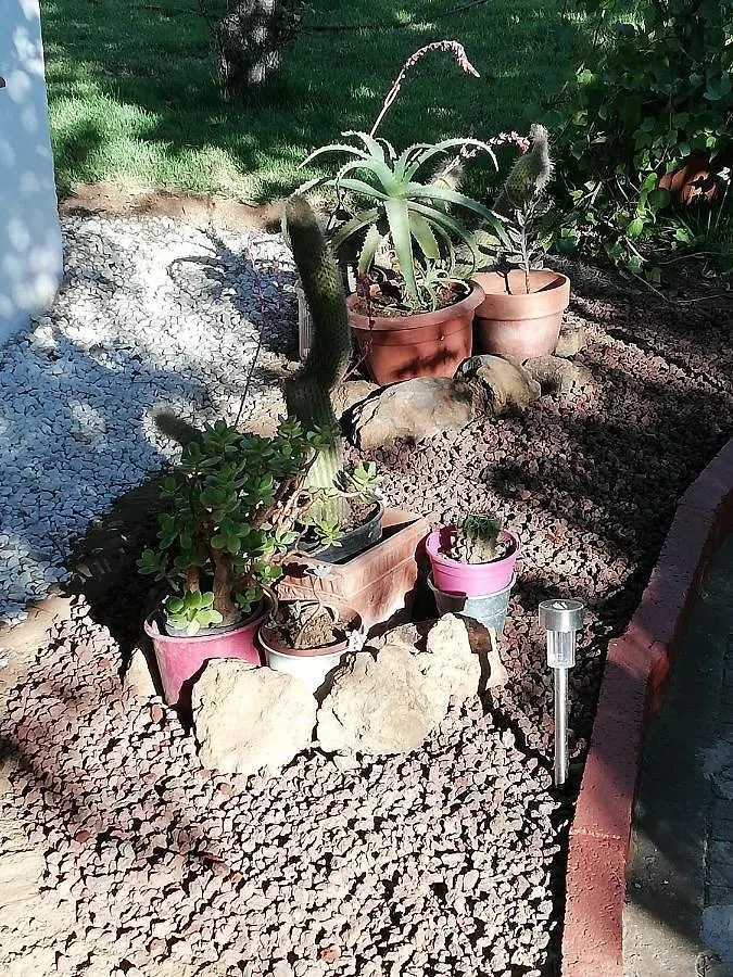 Holiday home Casa Rural Limon Y Sol Sauzal Spain