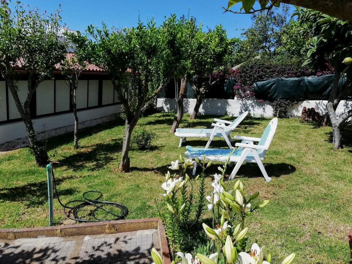 Casa Rural Limon Y Sol Sauzal Holiday home