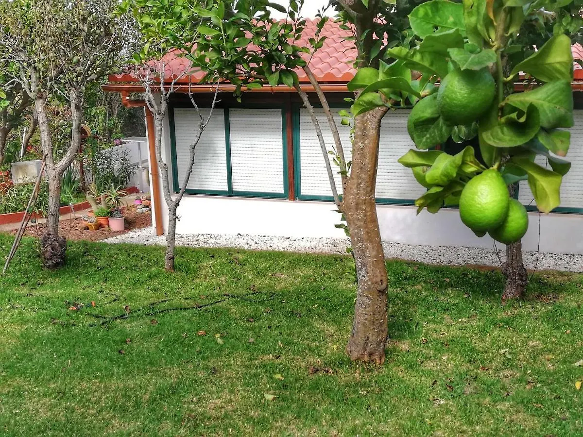 Casa Rural Limon Y Sol Sauzal