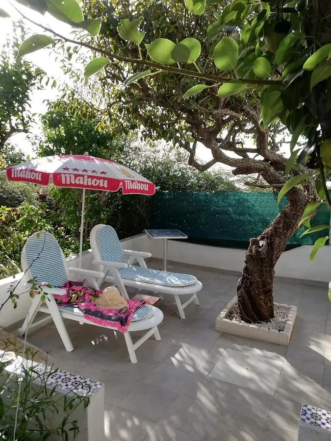 Holiday home Casa Rural Limon Y Sol Sauzal